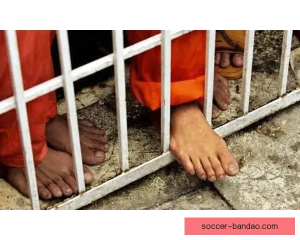 悲剧根源揭秘艾维童年遭性虐待引发荒唐行为